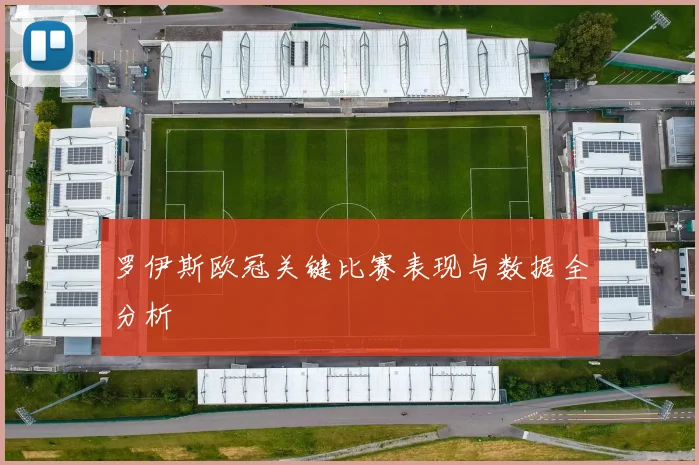罗伊斯欧冠关键比赛表现与数据全分析