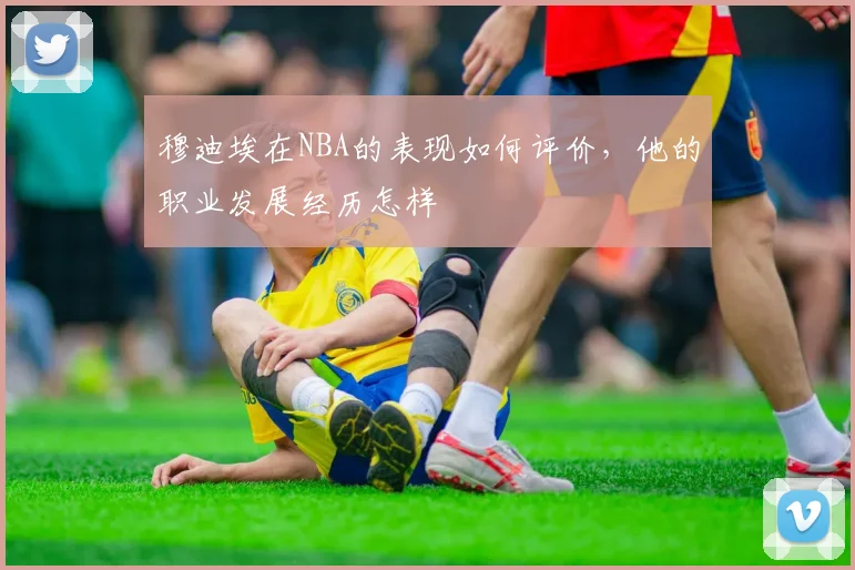 穆迪埃在NBA的表现如何评价，他的职业发展经历怎样