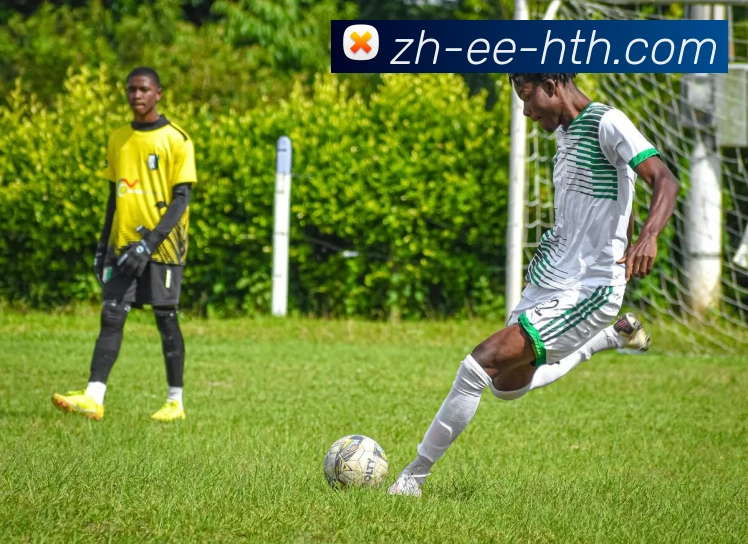 华体会登录入口发展历程